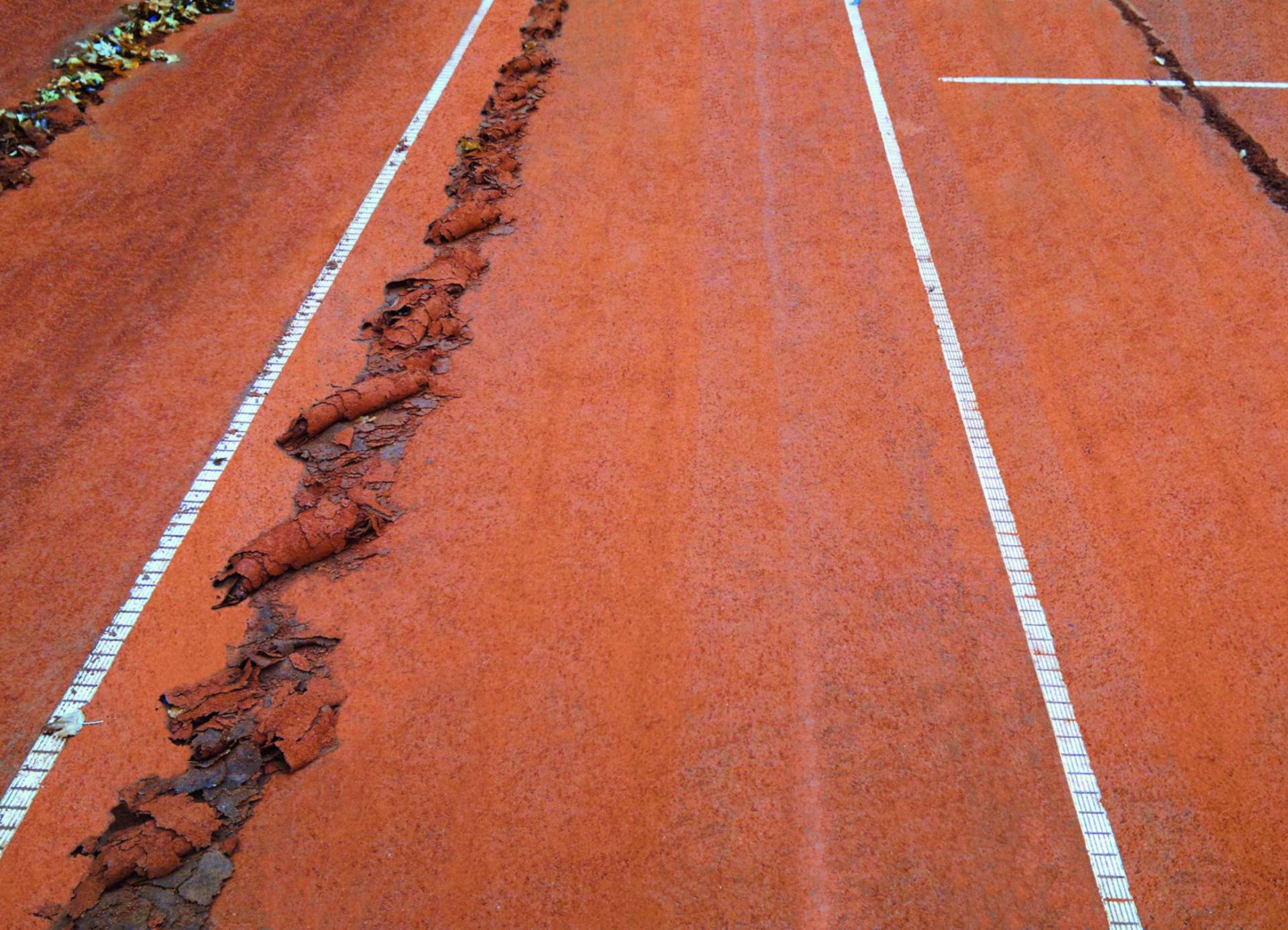 <i class='fas fa-angle-double-right'></i> Vermooste Plätze? Verhärteter Altsand? Verkrustete Plätze? Ein überzeugendes Arbeitsergebnis! Das TM2 „rasiert“ Platzprobleme glatt.